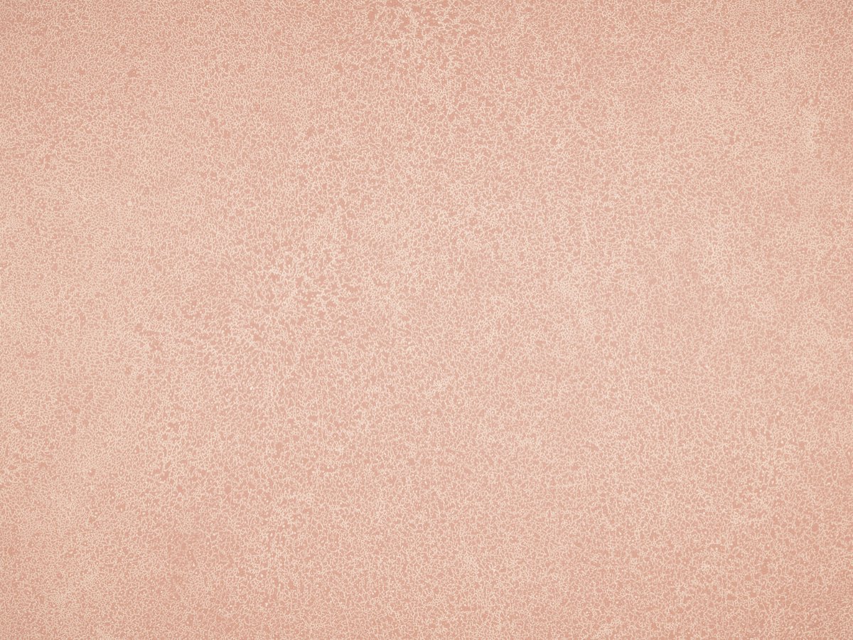 NFE Sparkle 2440-4 Novoflor Extra
