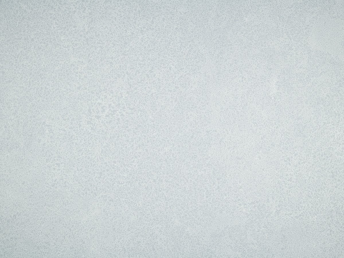 NFE Sparkle 2440-57 Novoflor Extra