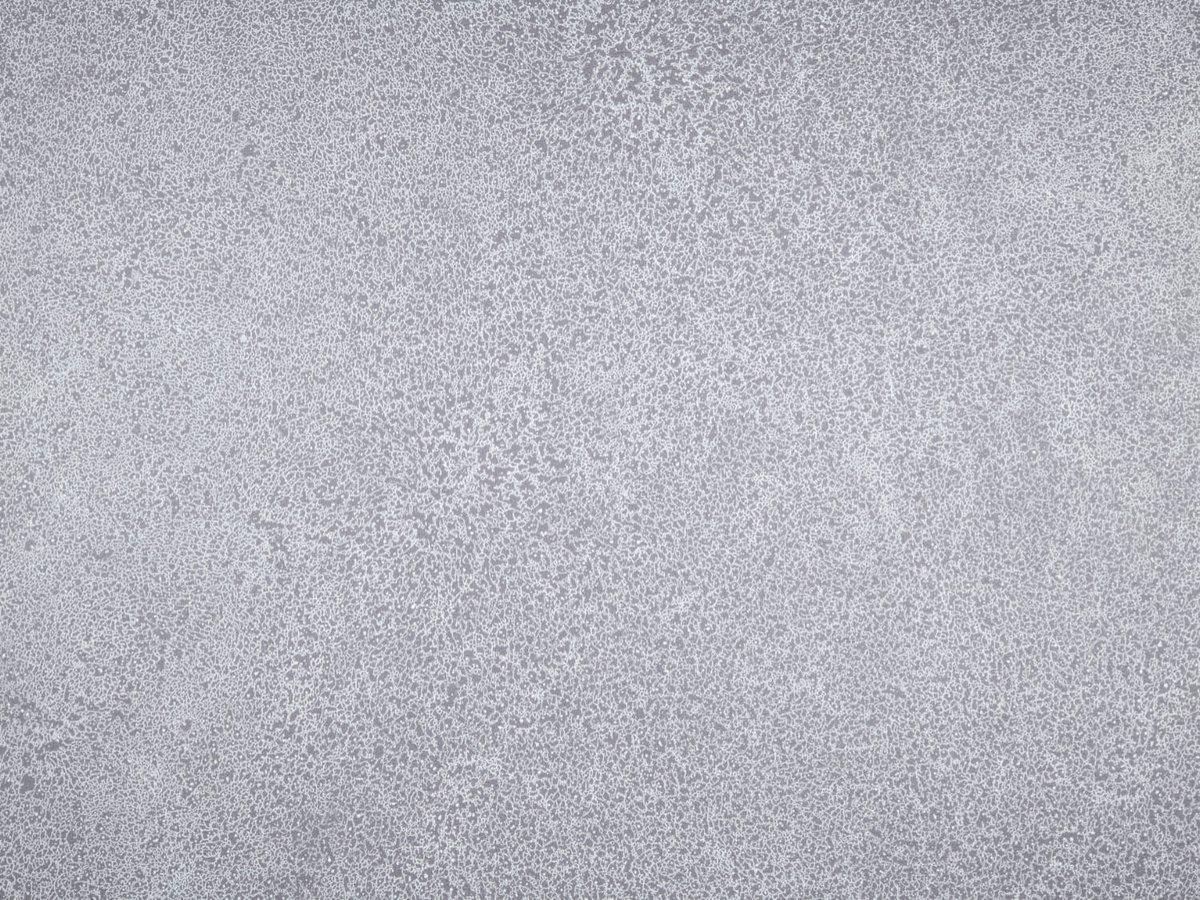 NFE Sparkle 2440-58 Novoflor Extra