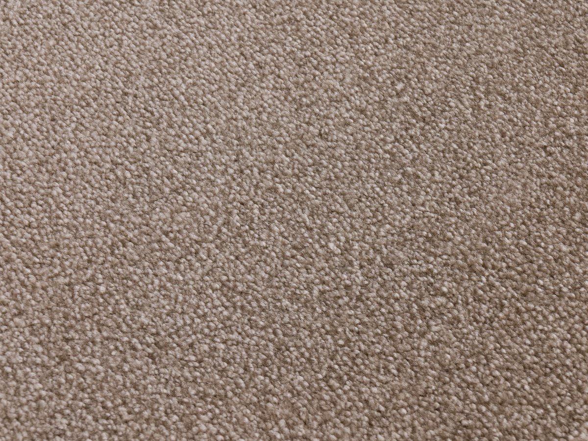 Sense 312 almond