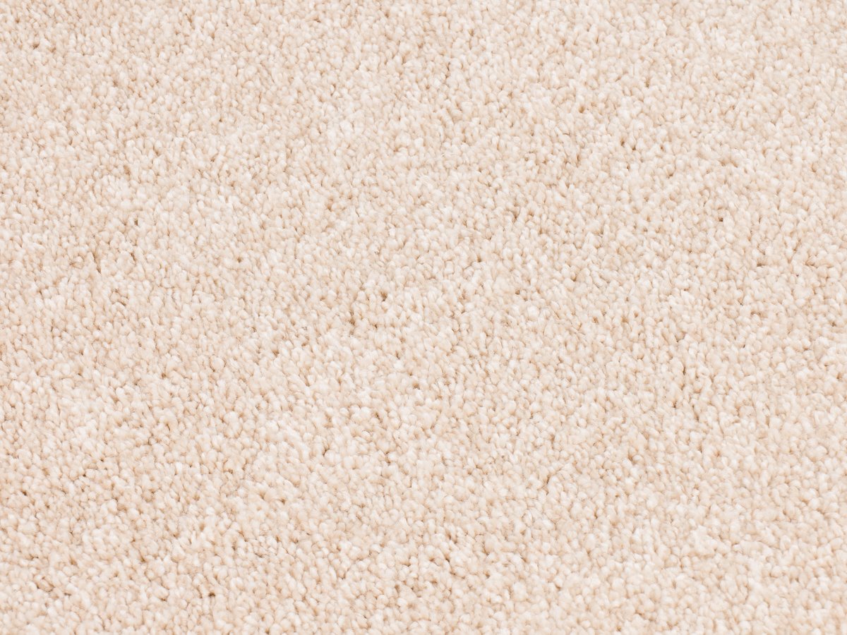 Timeless Elegance 560 seriously sand