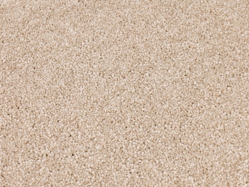 Timeless Elegance 590 desert