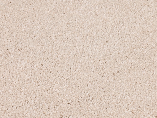 Dreamy Delight 971 plaster