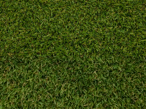 Yara grass olive