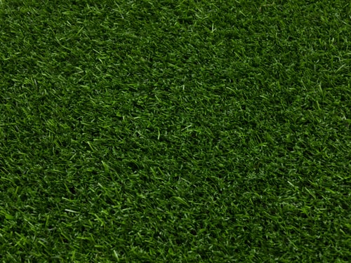 Greenville 15 zelený