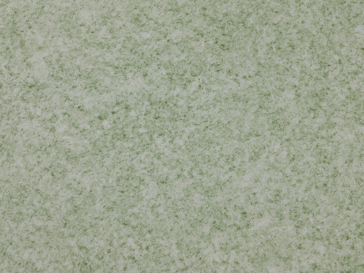 NFS Virgo 2805-54 Novoflor Standard