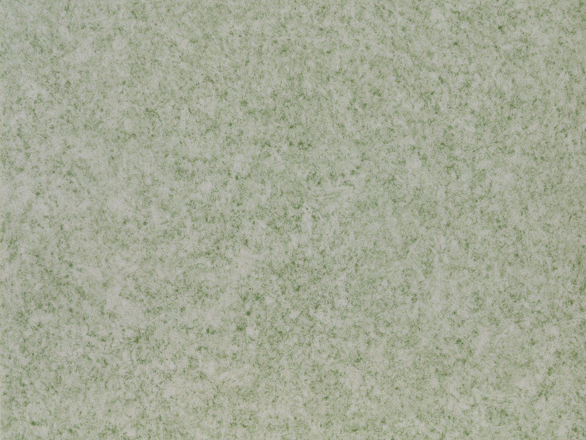 NFS Virgo 2805-54 Novoflor Standard