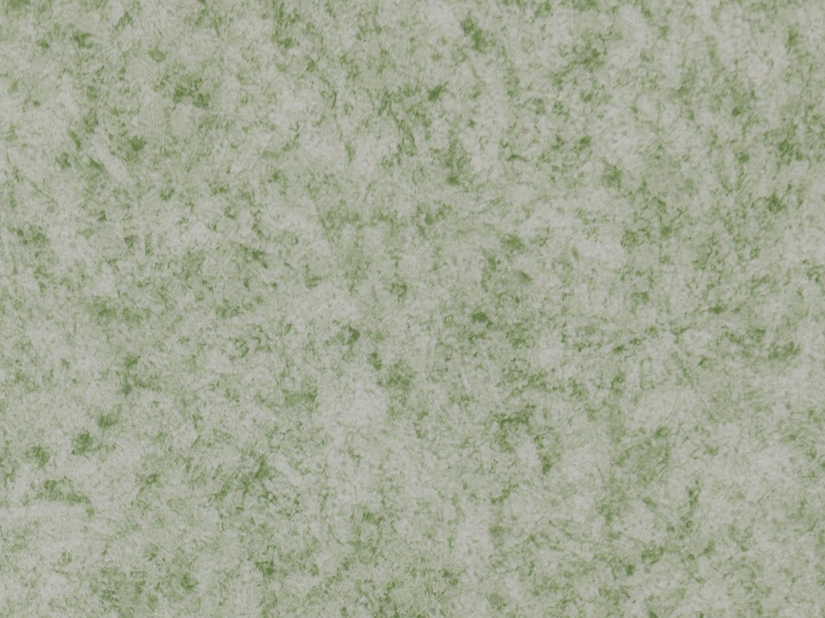 NFS Virgo 2805-54 Novoflor Standard
