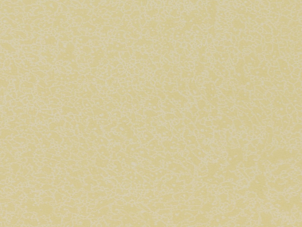 NFE Sparkle 2440-1 Novoflor Extra