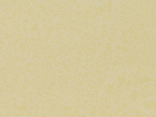 NFE Sparkle 2440-1 Novoflor Extra