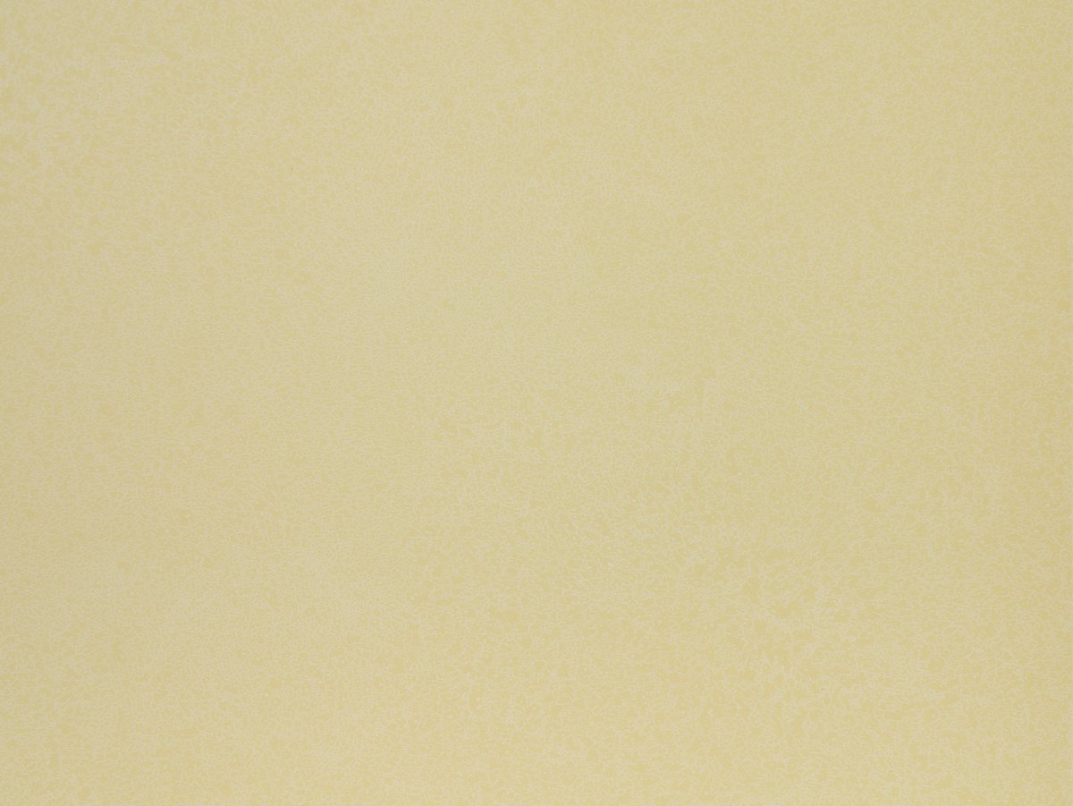NFE Sparkle 2440-1 Novoflor Extra
