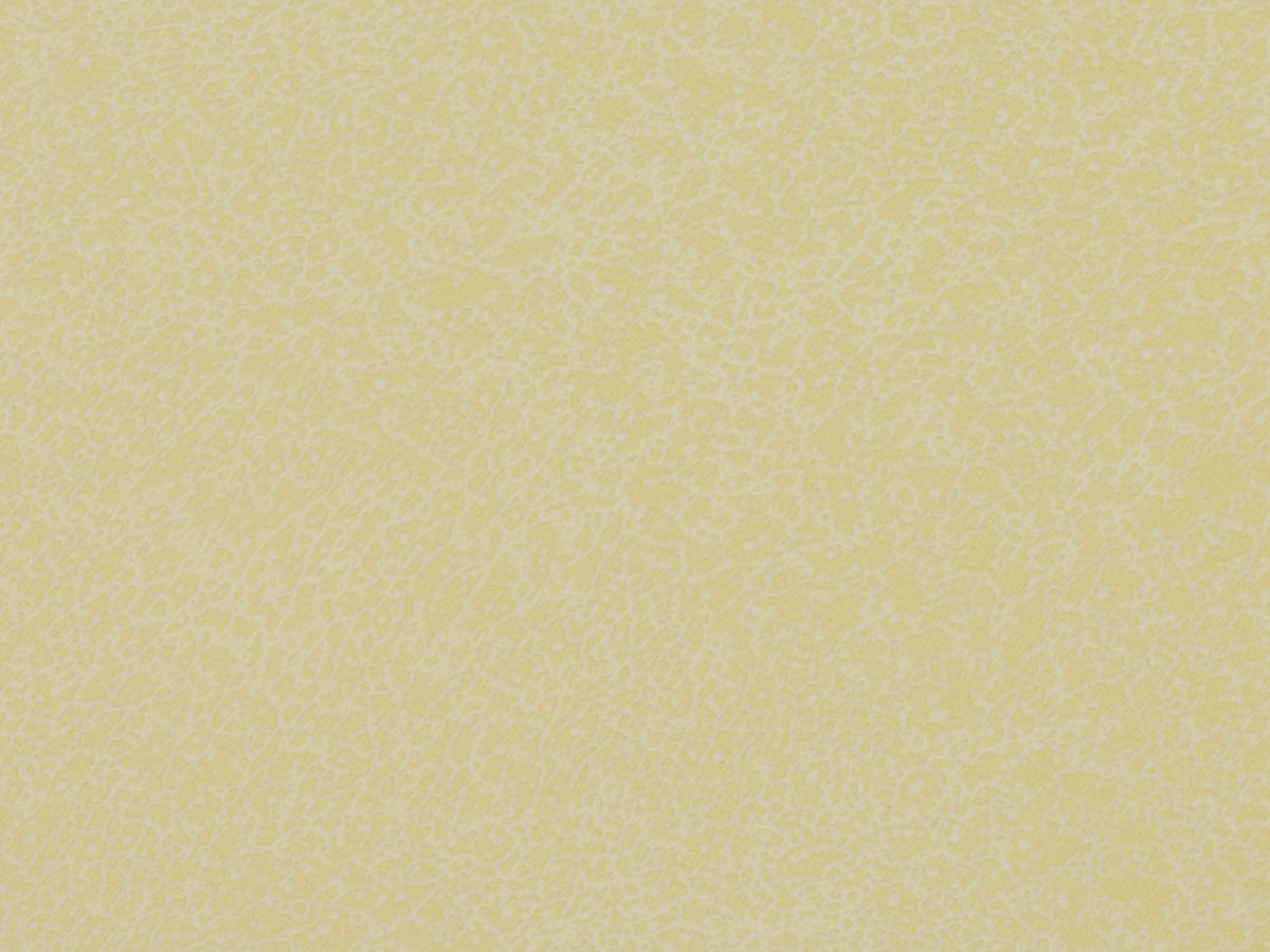 NFE Sparkle 2440-1 Novoflor Extra
