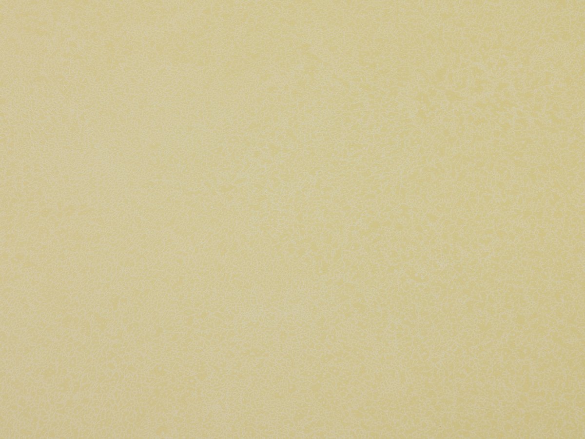 NFE Sparkle 2440-1 Novoflor Extra