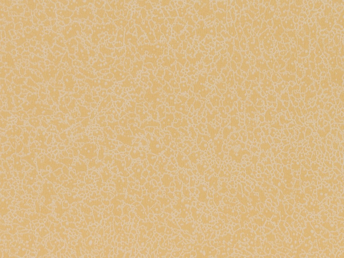 NFE Sparkle 2440-2 Novoflor Extra
