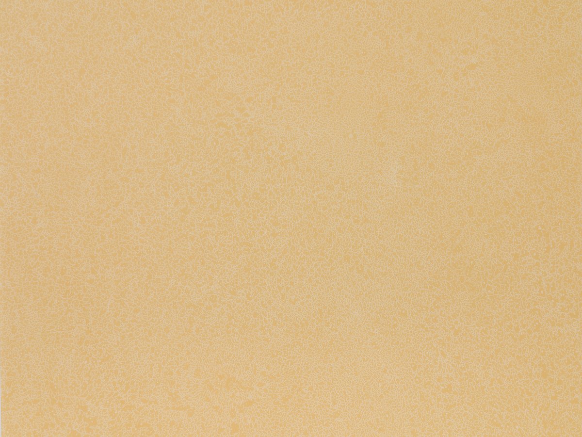 NFE Sparkle 2440-2 Novoflor Extra
