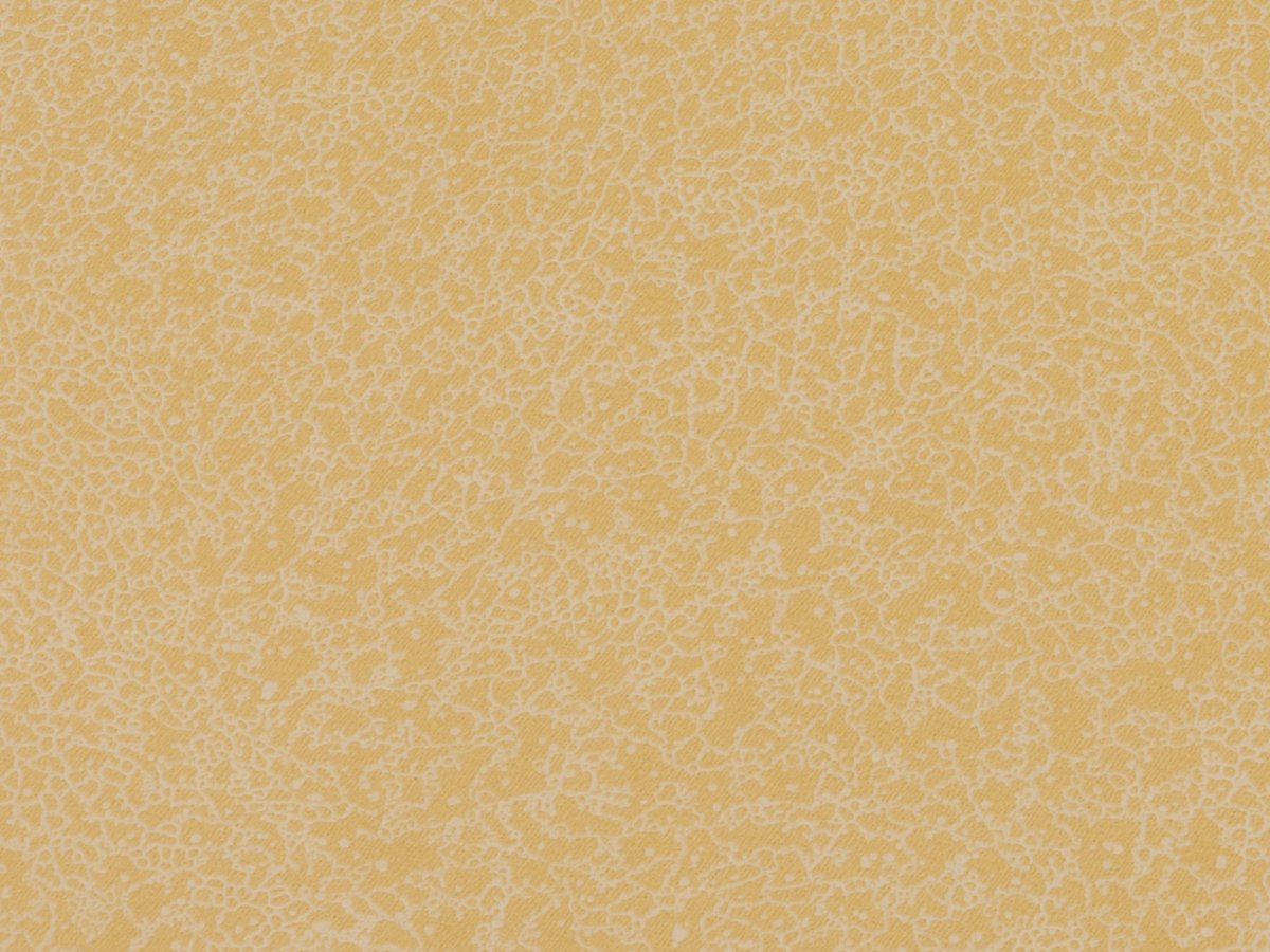 NFE Sparkle 2440-2 Novoflor Extra