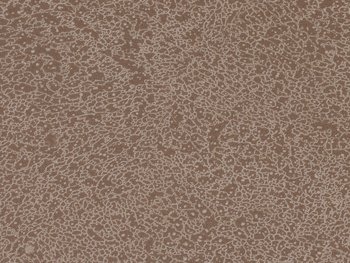 NFE Sparkle 2440-3 Novoflor Extra