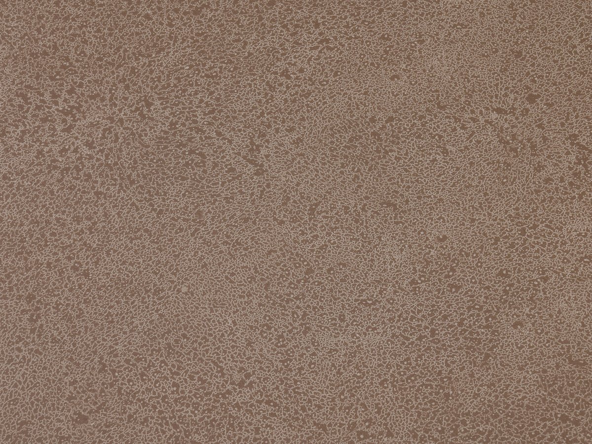 NFE Sparkle 2440-3 Novoflor Extra