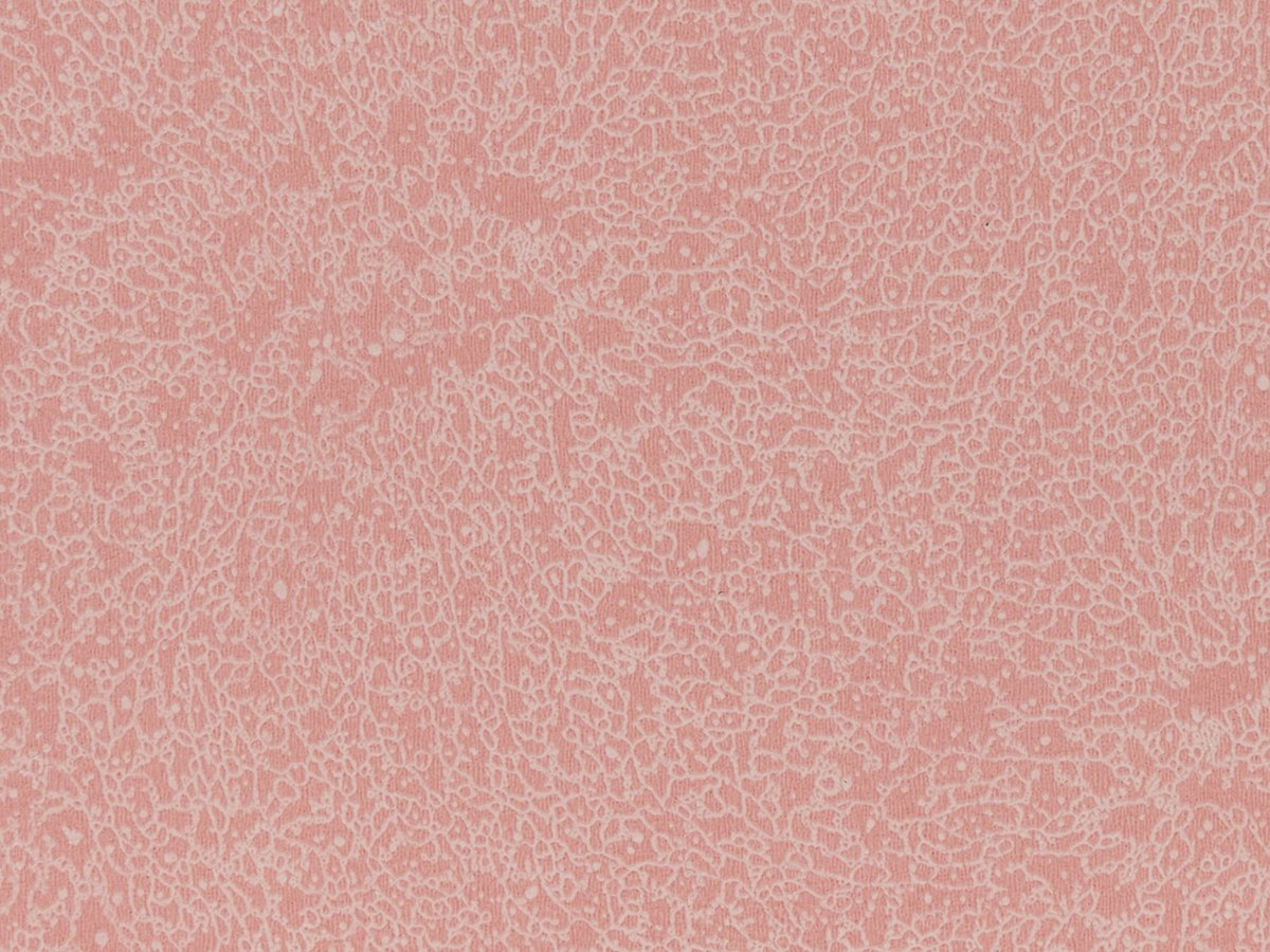 NFE Sparkle 2440-4 Novoflor Extra