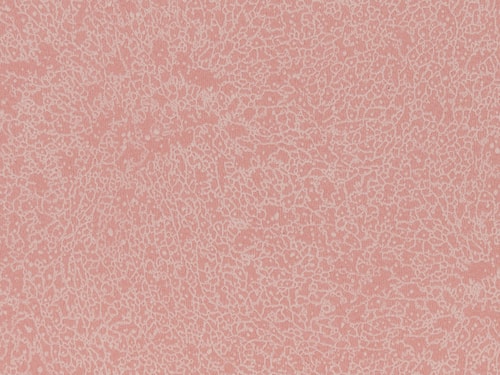 NFE Sparkle 2440-4 Novoflor Extra