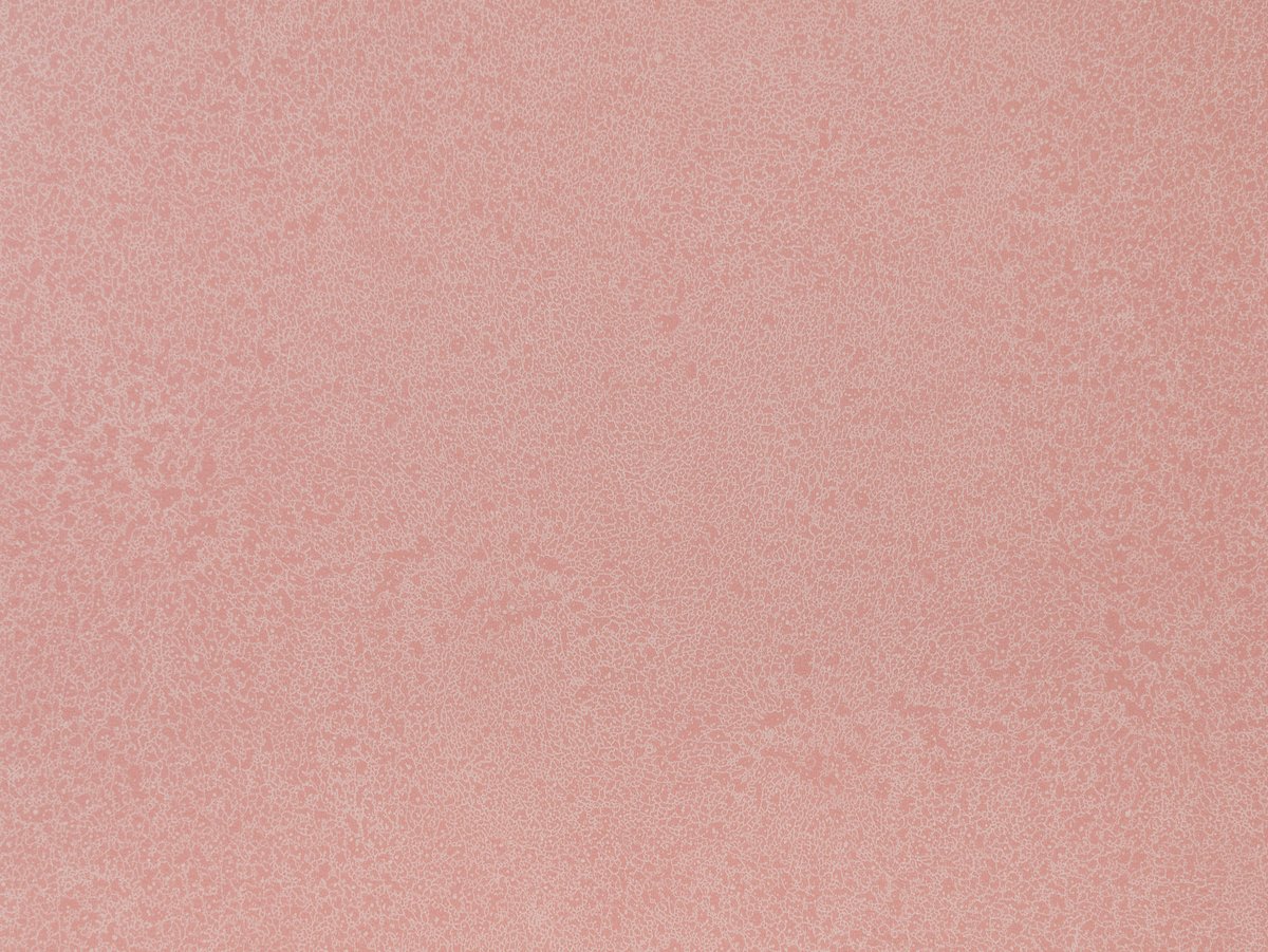 NFE Sparkle 2440-4 Novoflor Extra