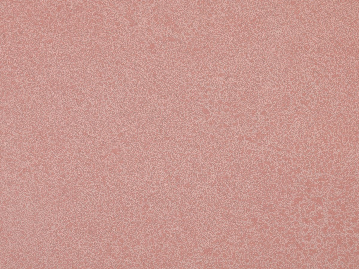 NFE Sparkle 2440-4 Novoflor Extra