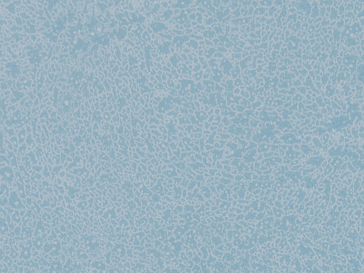 NFE Sparkle 2440-55 Novoflor Extra