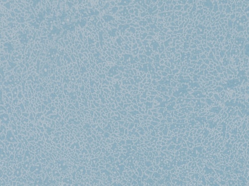 NFE Sparkle 2440-55 Novoflor Extra