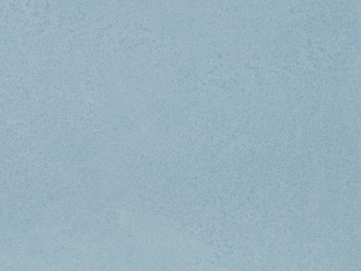 NFE Sparkle 2440-55 Novoflor Extra
