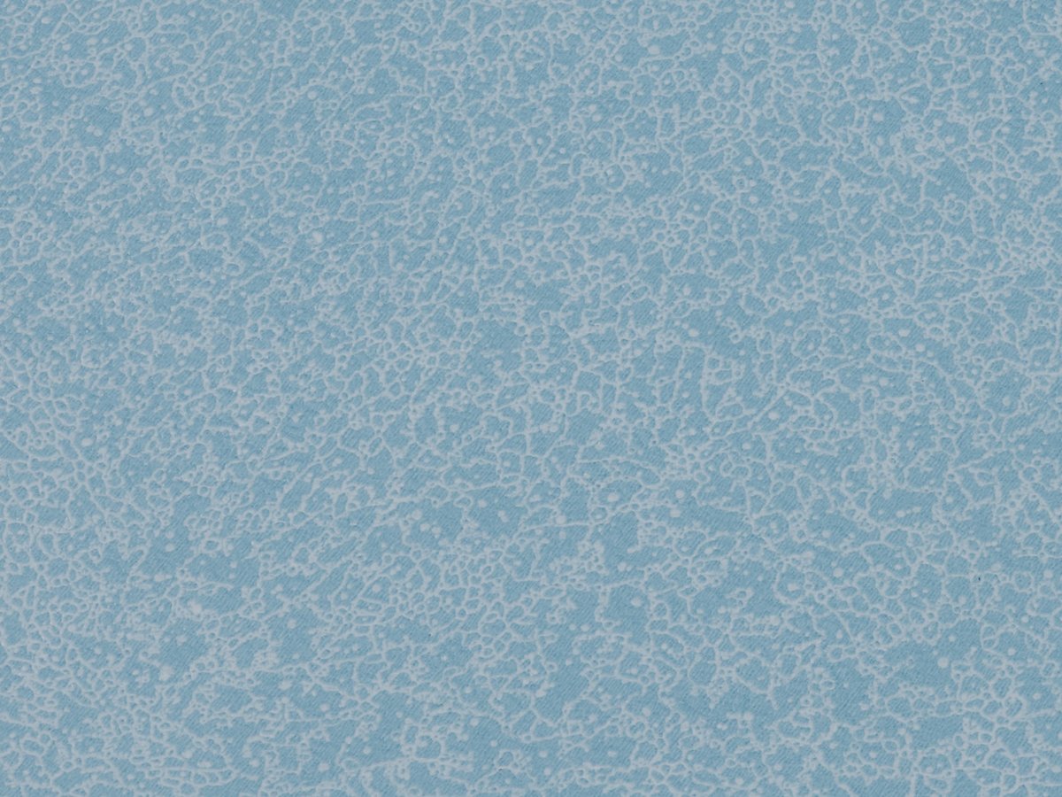NFE Sparkle 2440-55 Novoflor Extra