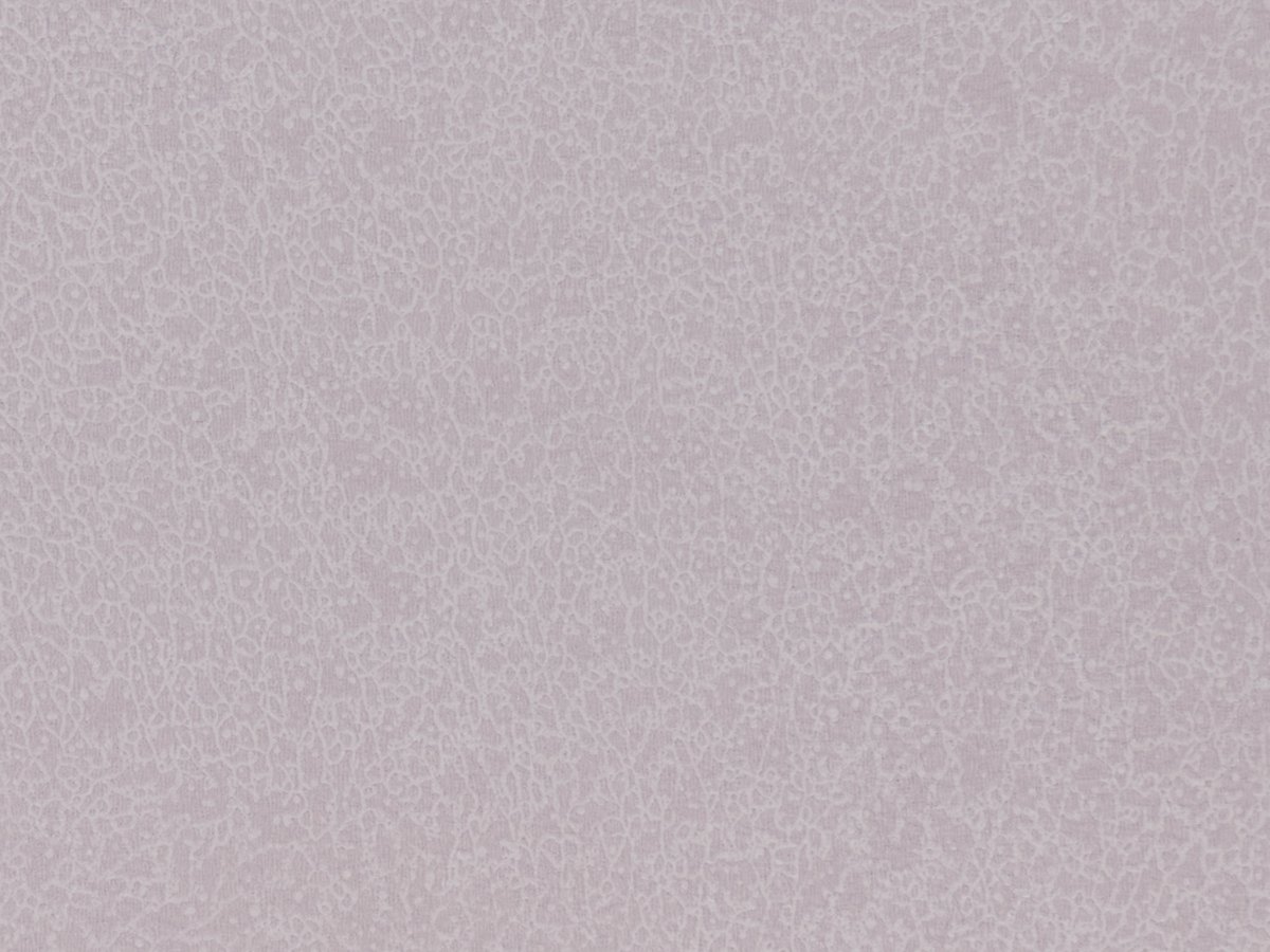 NFE Sparkle 2440-56 Novoflor Extra