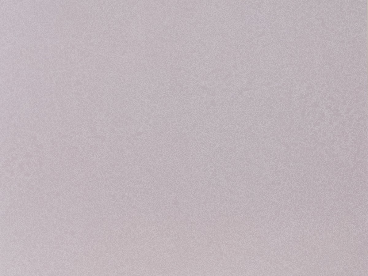 NFE Sparkle 2440-56 Novoflor Extra