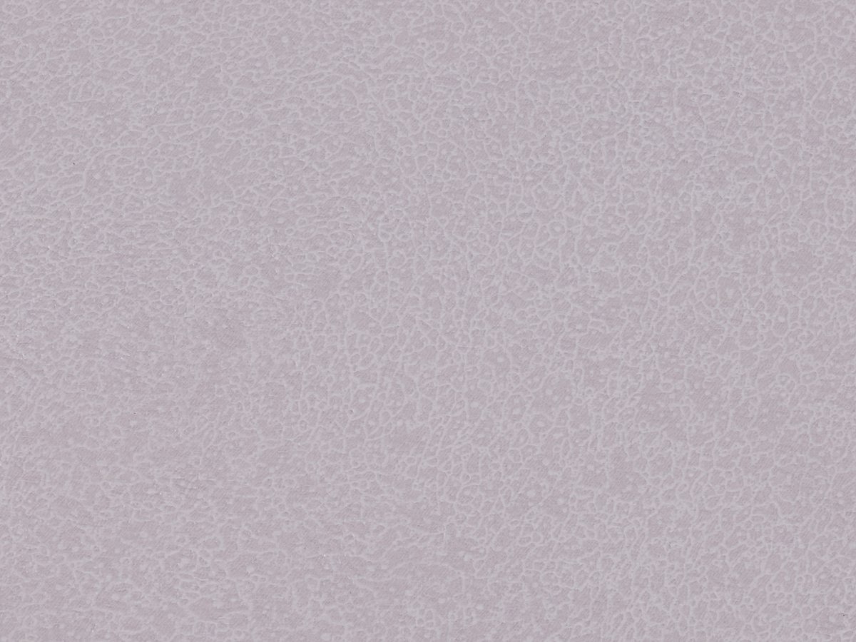 NFE Sparkle 2440-56 Novoflor Extra