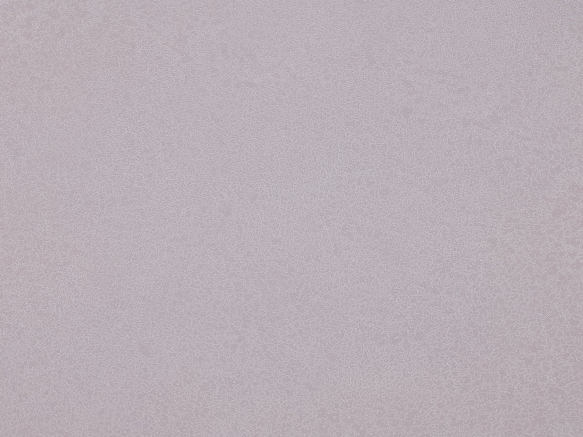 NFE Sparkle 2440-56 Novoflor Extra