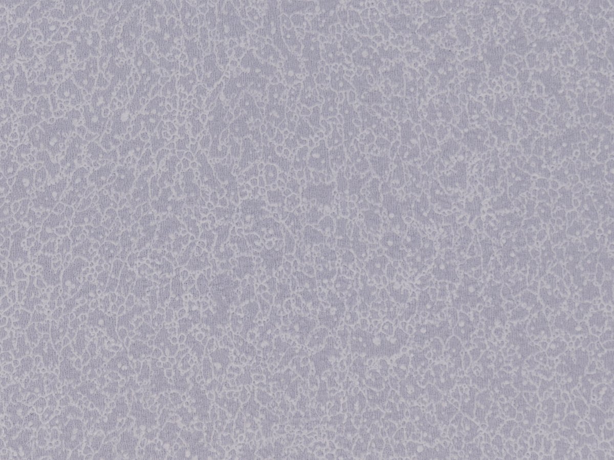 NFE Sparkle 2440-57 Novoflor Extra