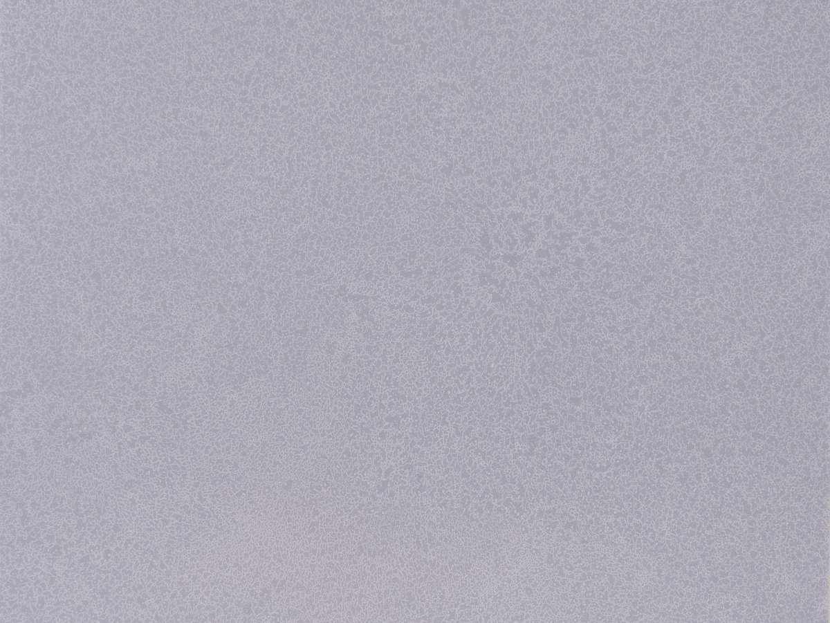 NFE Sparkle 2440-57 Novoflor Extra