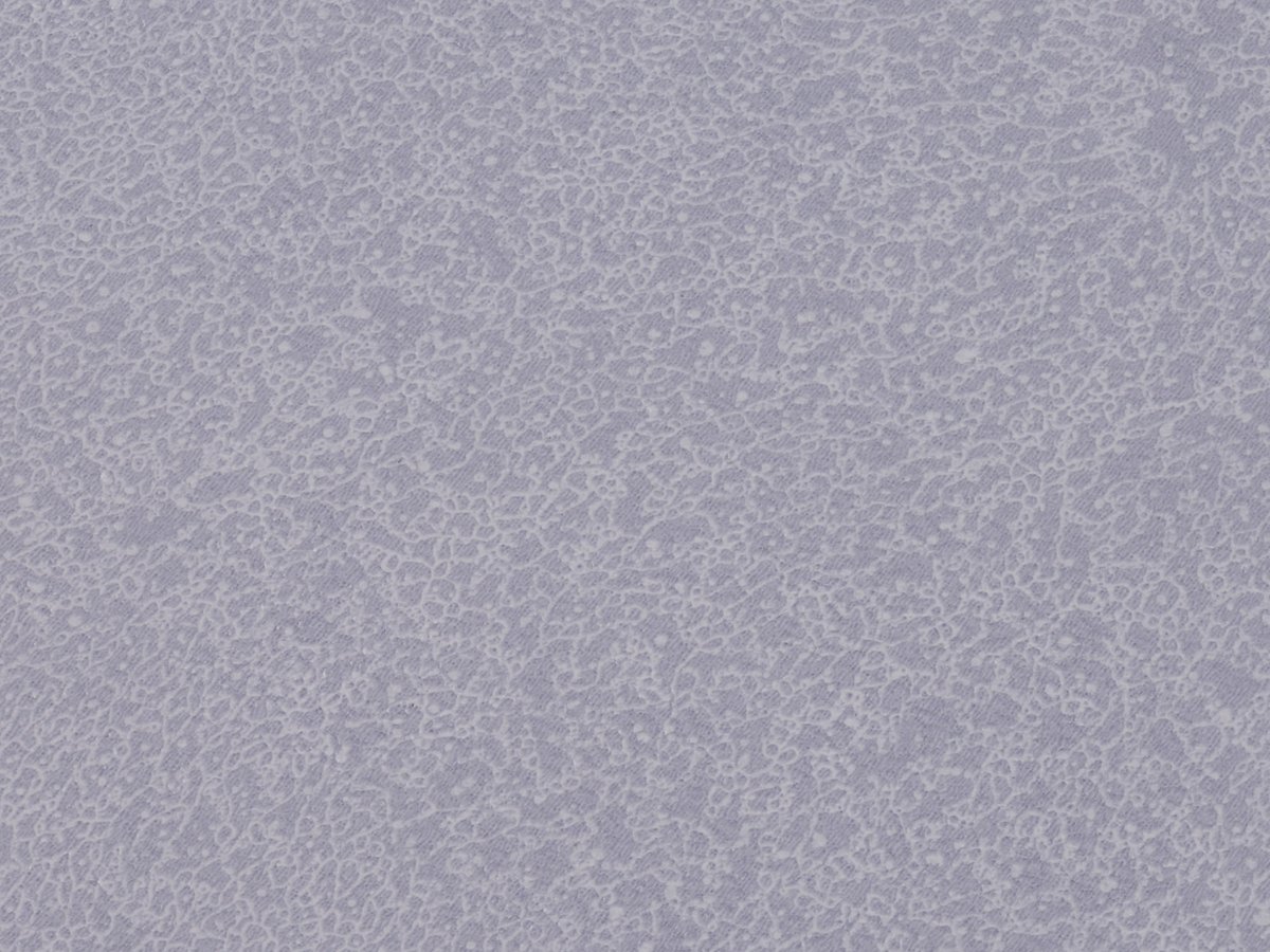 NFE Sparkle 2440-57 Novoflor Extra