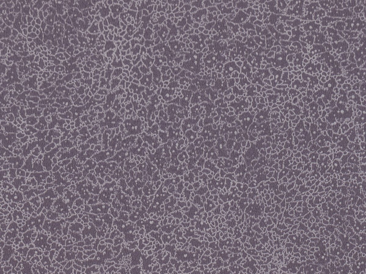NFE Sparkle 2440-58 Novoflor Extra