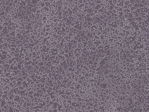 NFE Sparkle 2440-58 Novoflor Extra