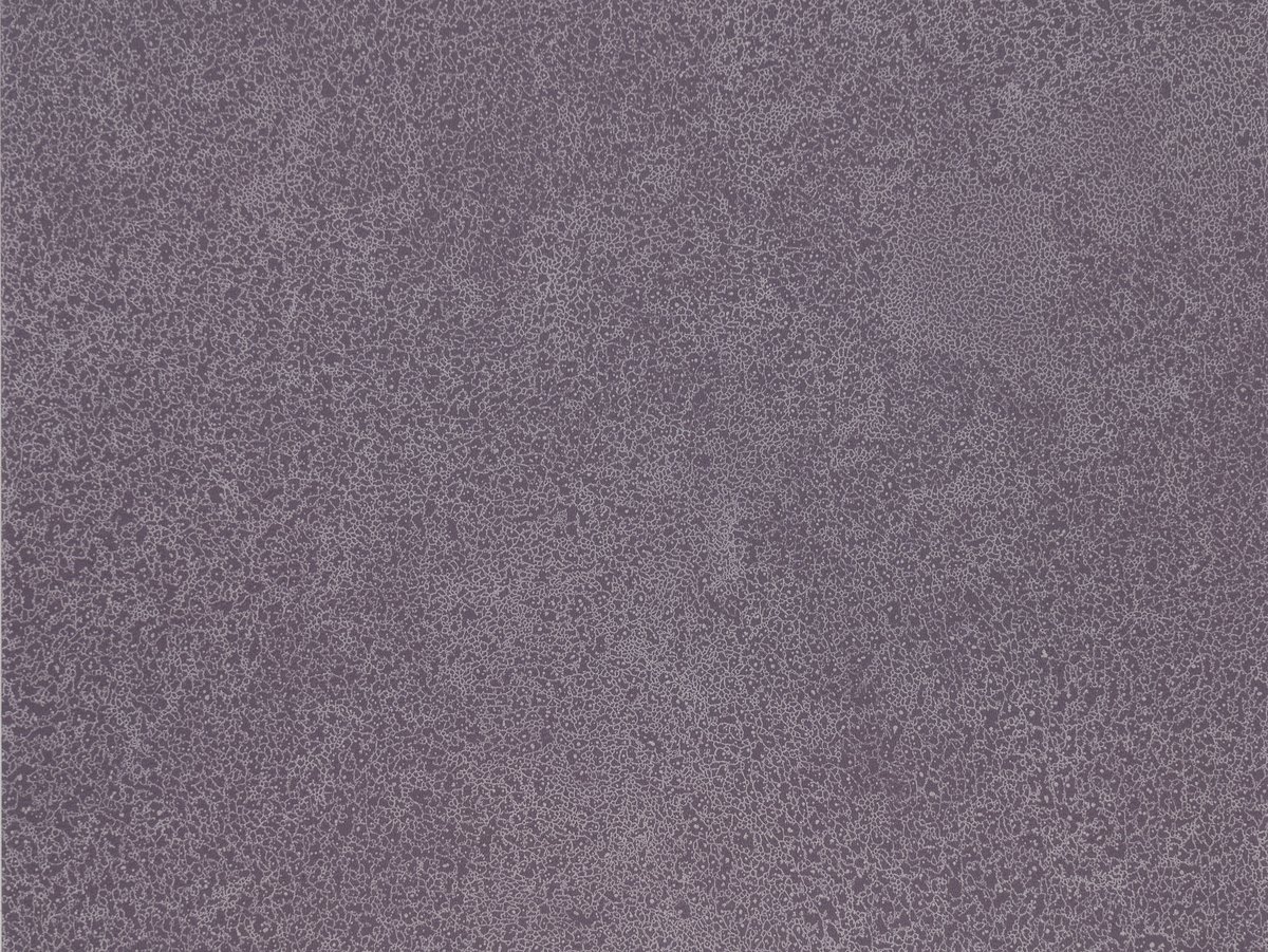 NFE Sparkle 2440-58 Novoflor Extra