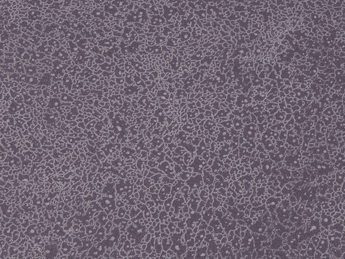 NFE Sparkle 2440-58 Novoflor Extra