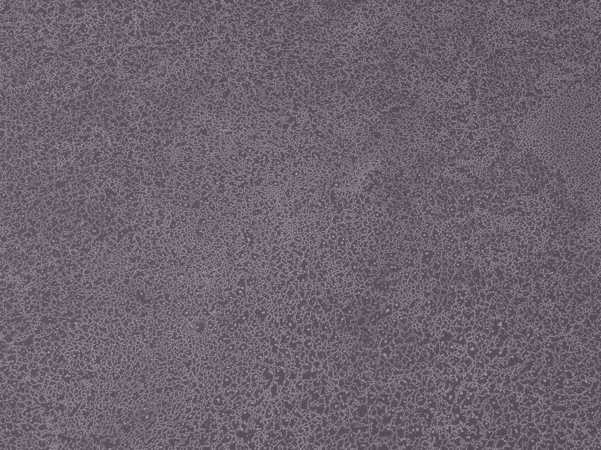 NFE Sparkle 2440-58 Novoflor Extra