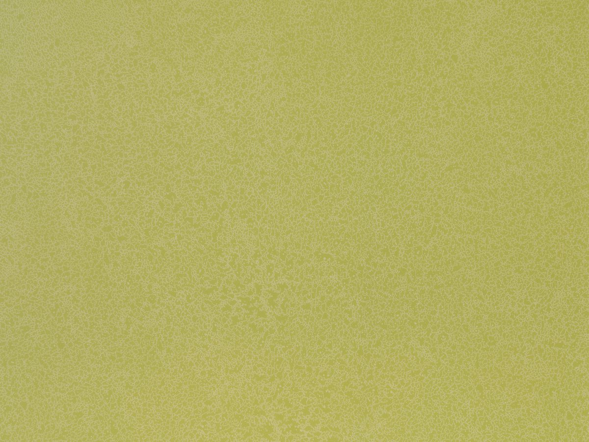 NFE Sparkle 2440-59 Novoflor Extra