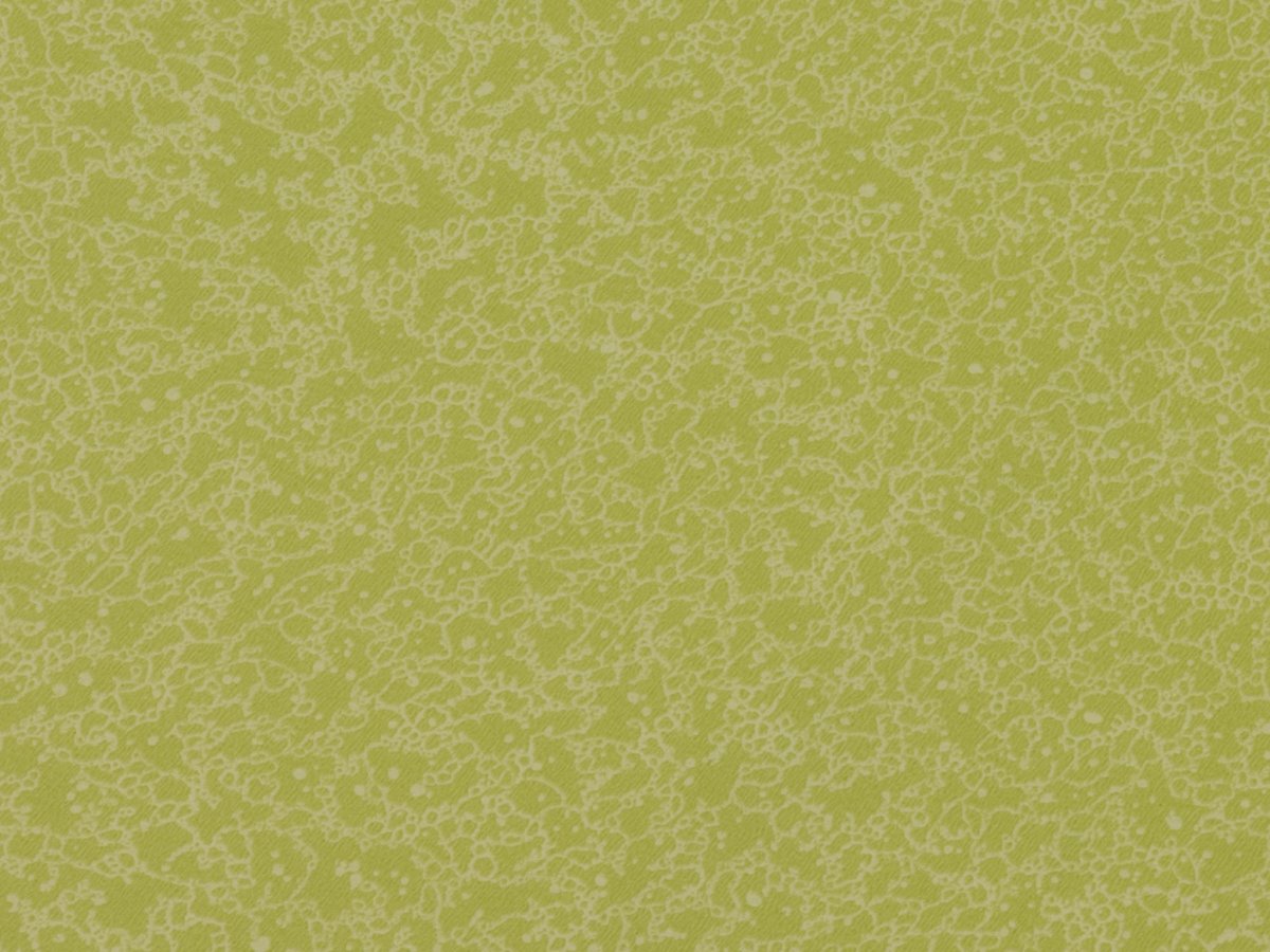 NFE Sparkle 2440-59 Novoflor Extra