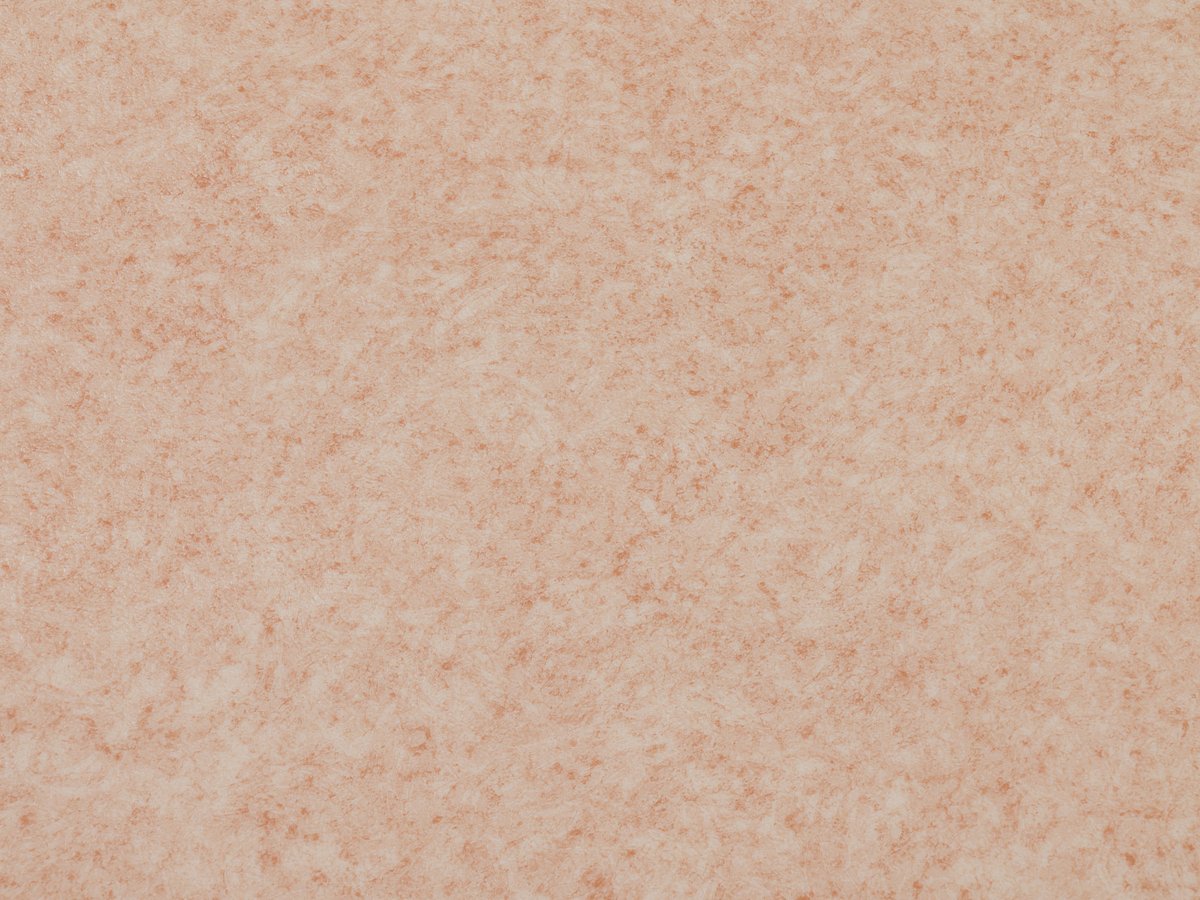 NFE Virgo 2805-6 Novoflor Extra