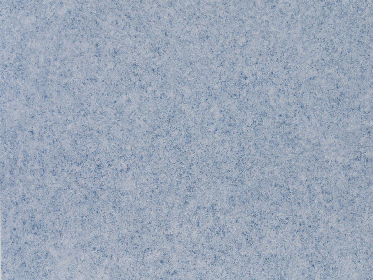 NFE Virgo 2805-53 Novoflor Extra
