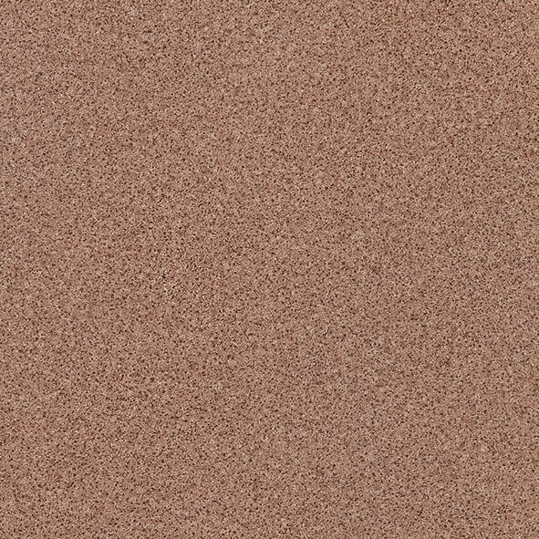 NFE Comfort 2015-8 Novoflor Extra
