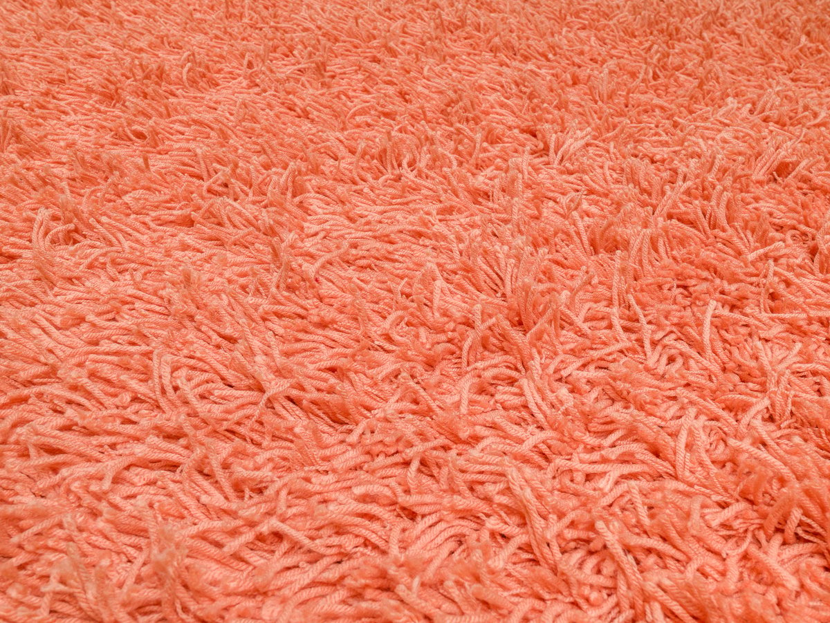 Charly orange