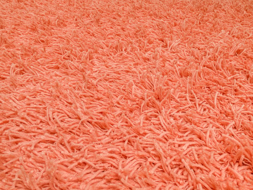 Charly orange