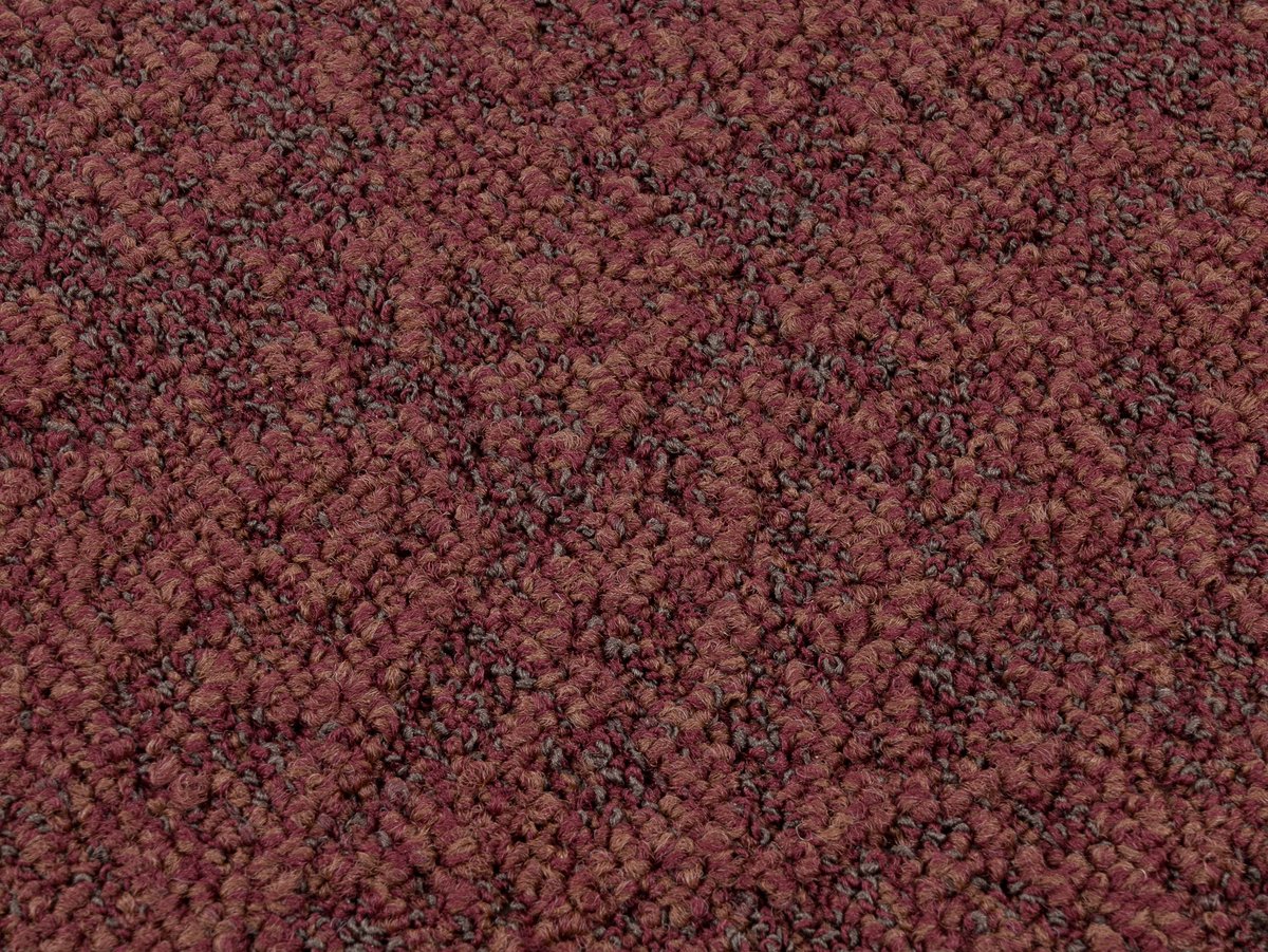 Terra 18
